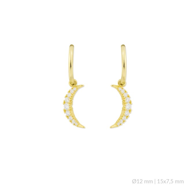 Pendientes de Plata de Ley