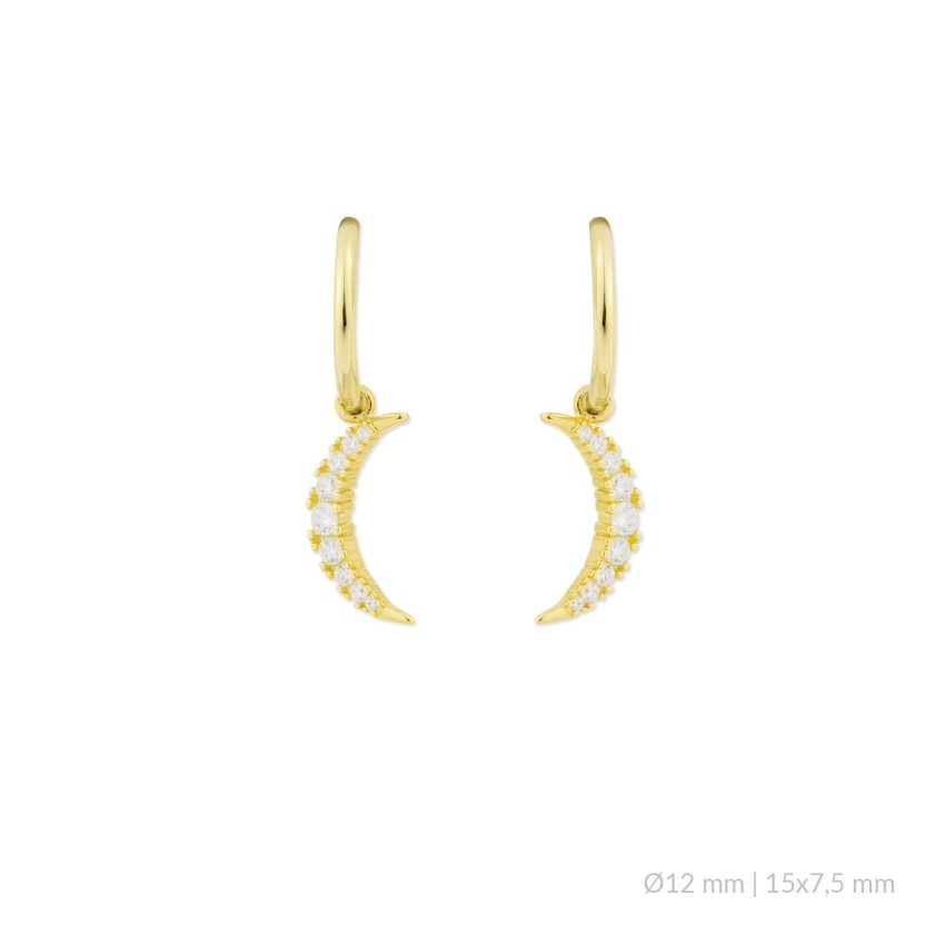 Pendientes de Plata de Ley