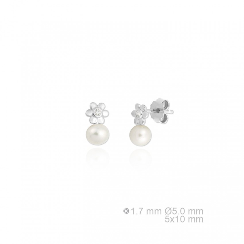 Pendientes de Plata de Ley