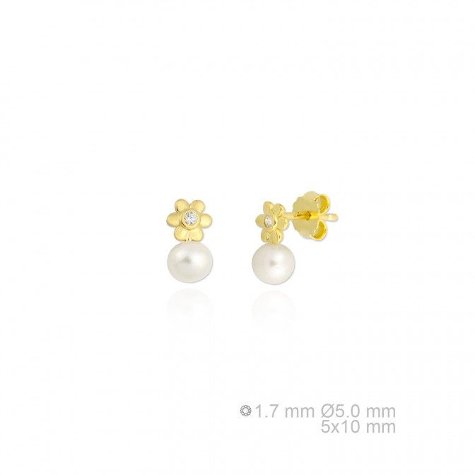 Pendientes de Plata de Ley