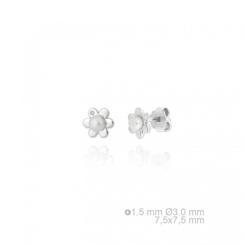 Pendientes de Plata de Ley