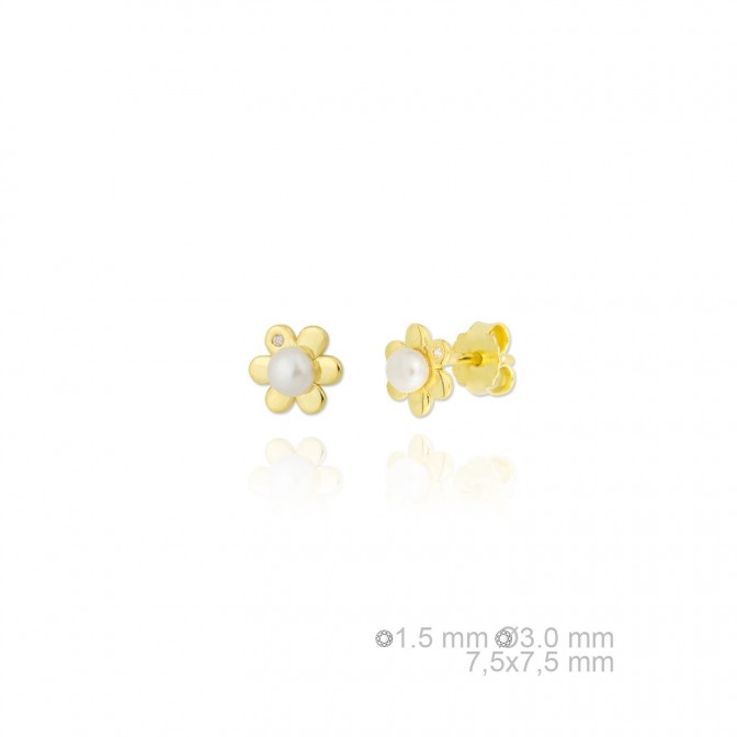 Pendientes de Plata de Ley