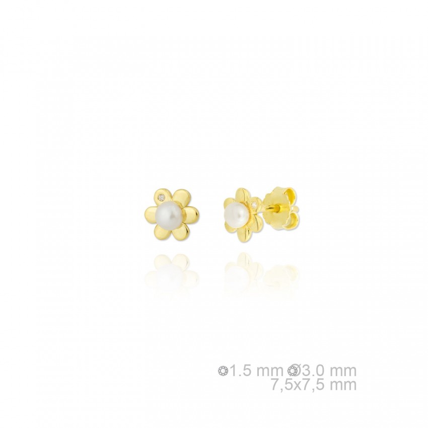 Pendientes de Plata de Ley