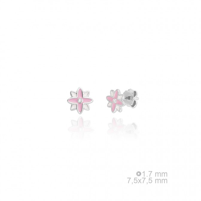 Pendientes de Plata de Ley