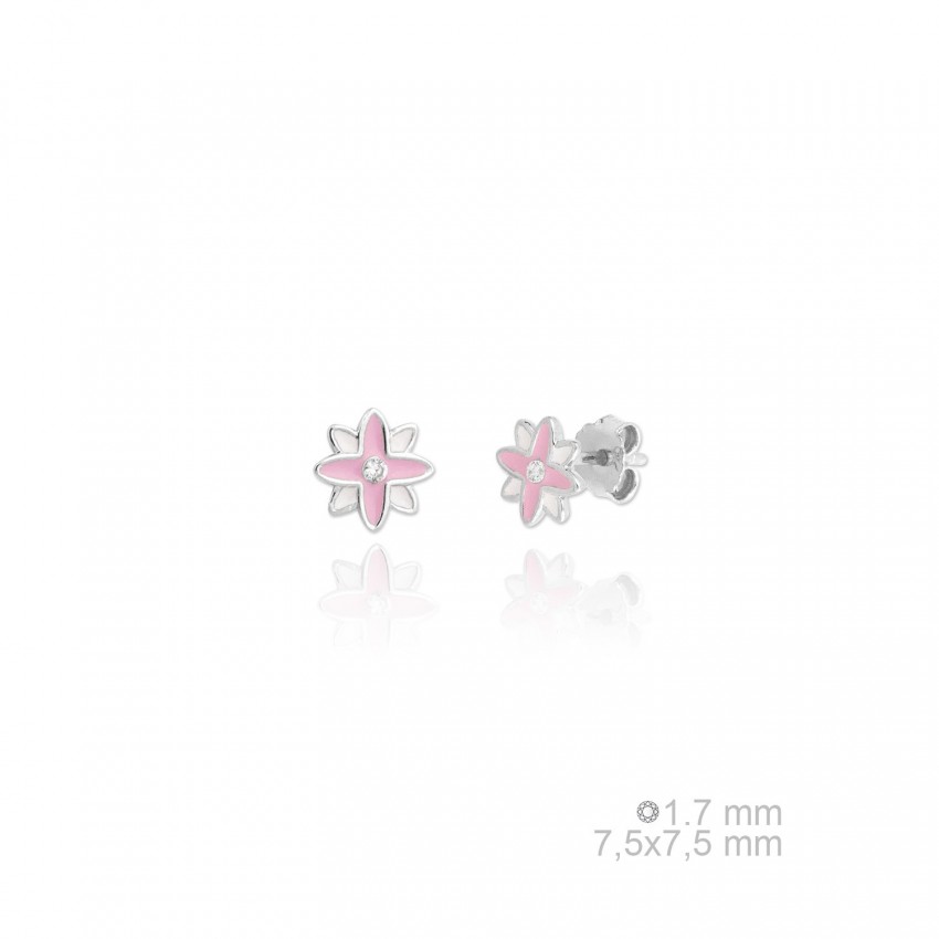 Pendientes de Plata de Ley