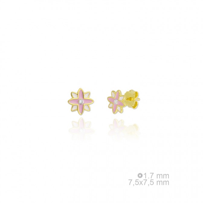 Pendientes de Plata de Ley