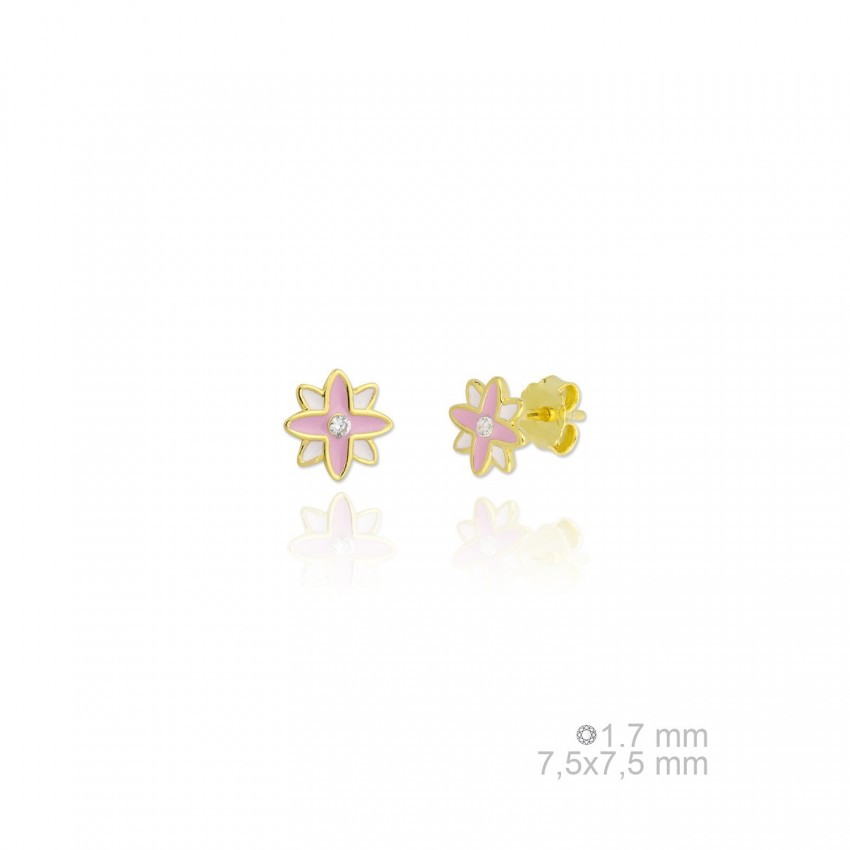 Pendientes de Plata de Ley