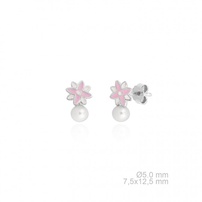 Pendientes de Plata de Ley