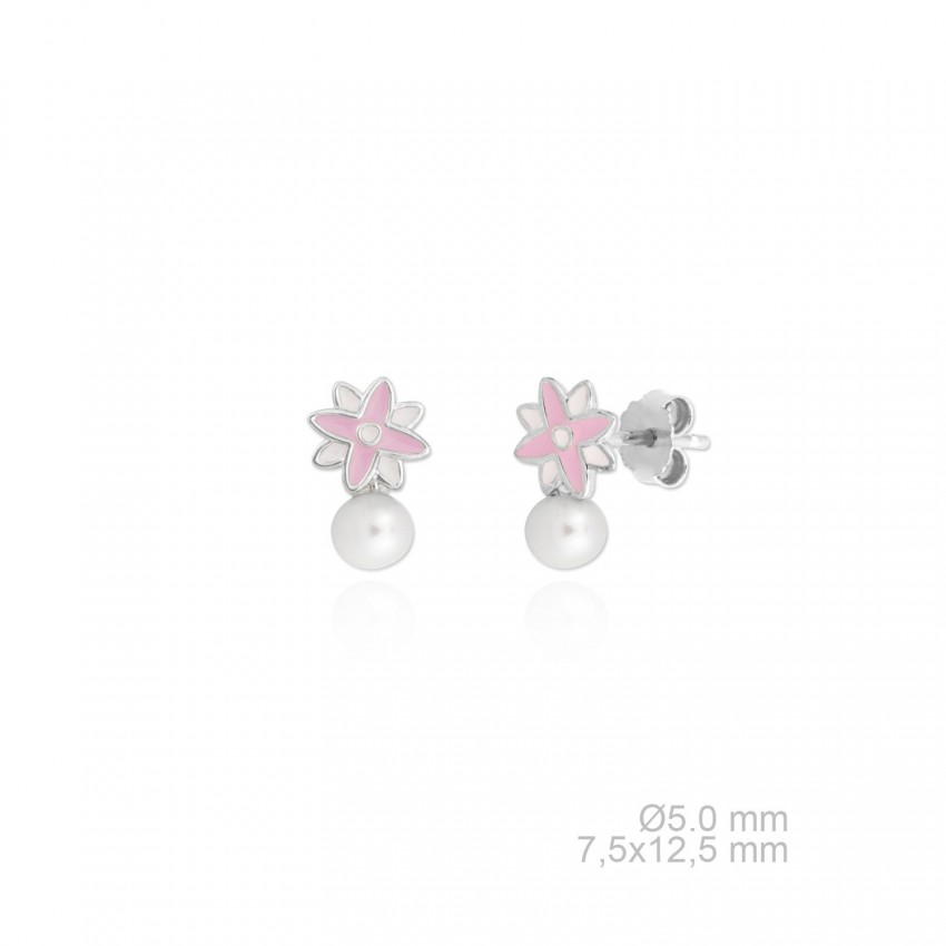 Pendientes de Plata de Ley