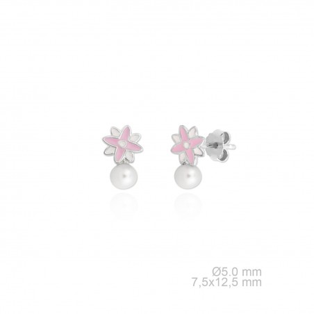 Pendientes de Plata de Ley