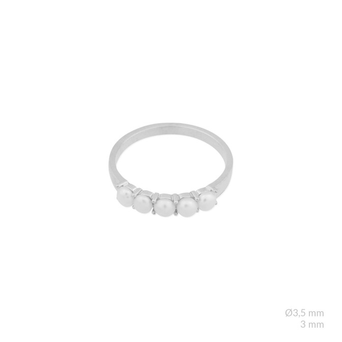 Anillo de Plata de Ley