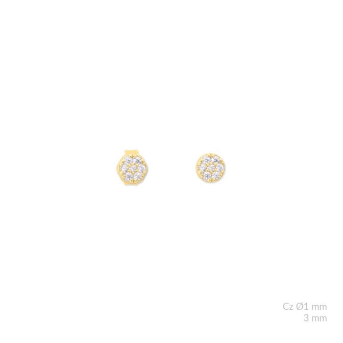 Pendientes de Plata de Ley con circonitas