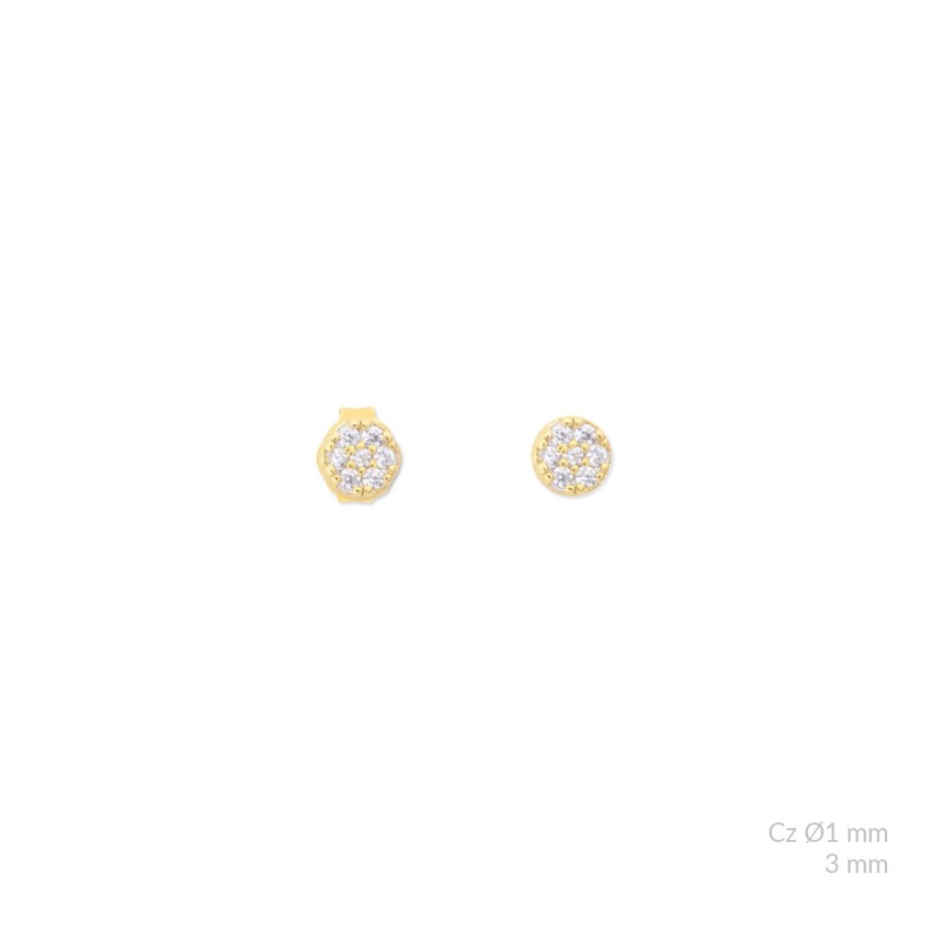 Pendientes de Plata de Ley con circonitas