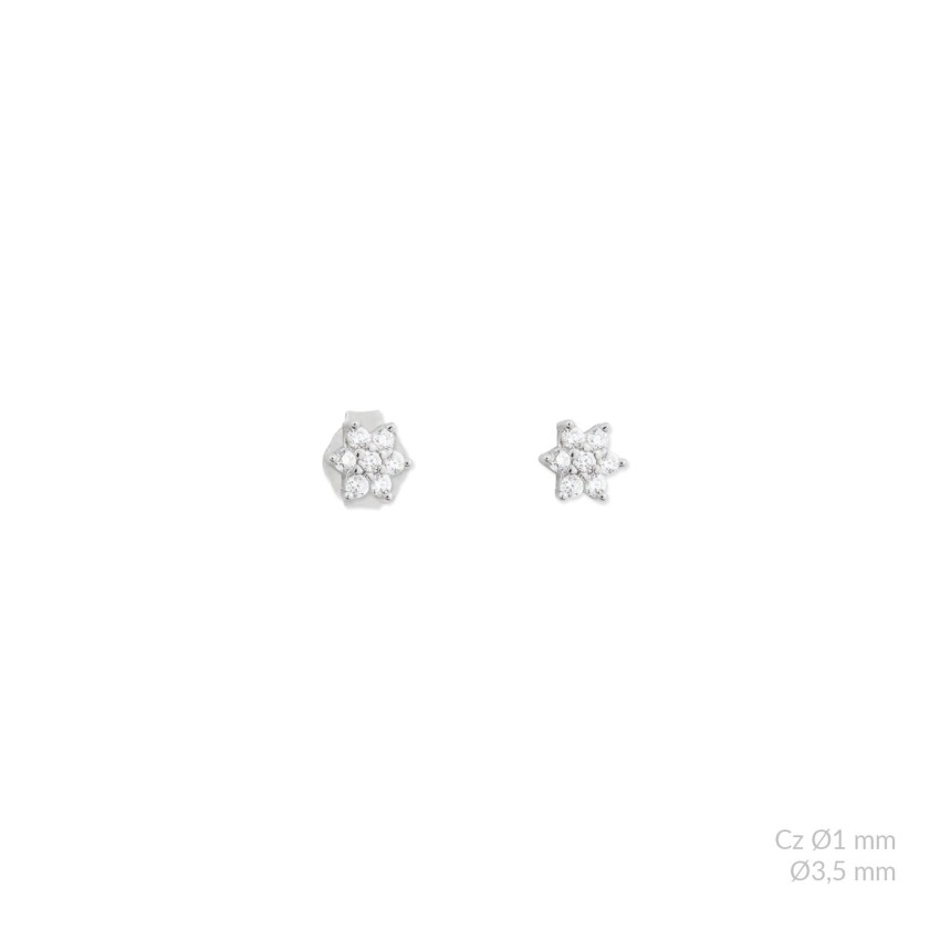 Pendientes de Plata de Ley con circonitas