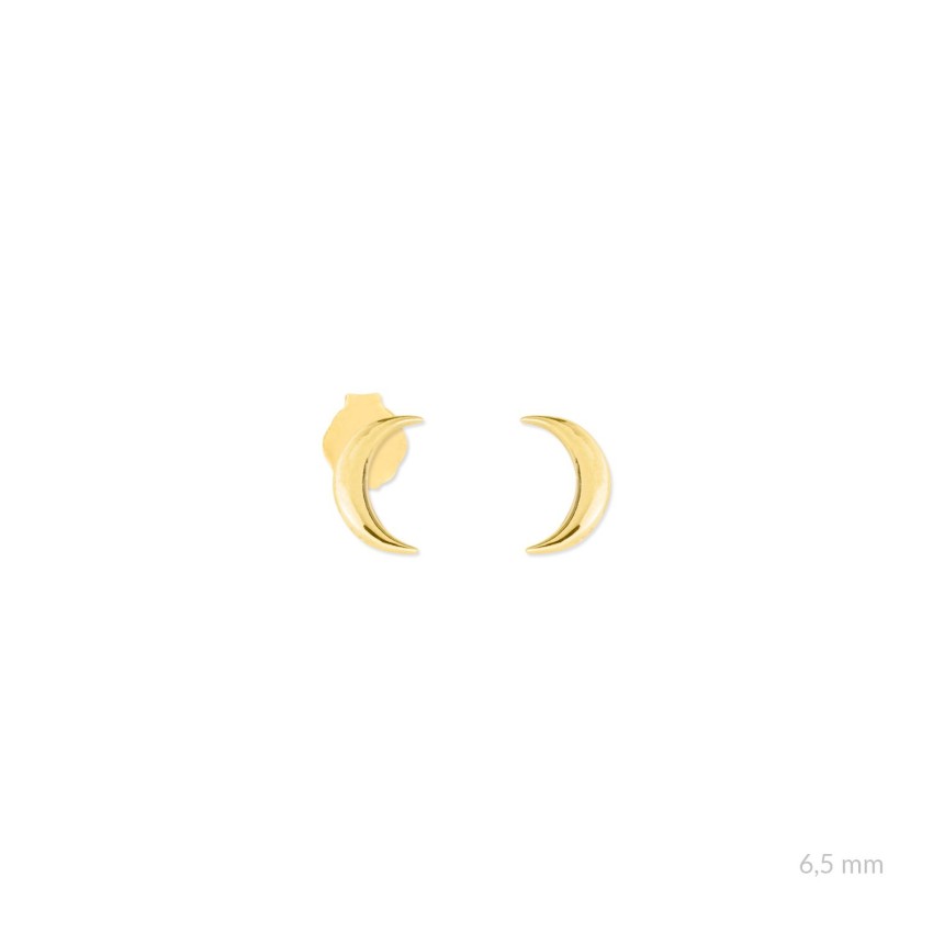 Pendientes de Plata de Ley