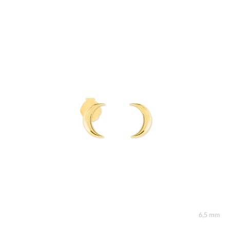 Pendientes de Plata de Ley