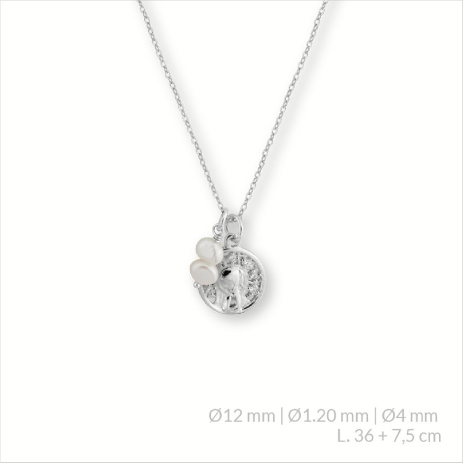 Gargantilla de Plata de Ley