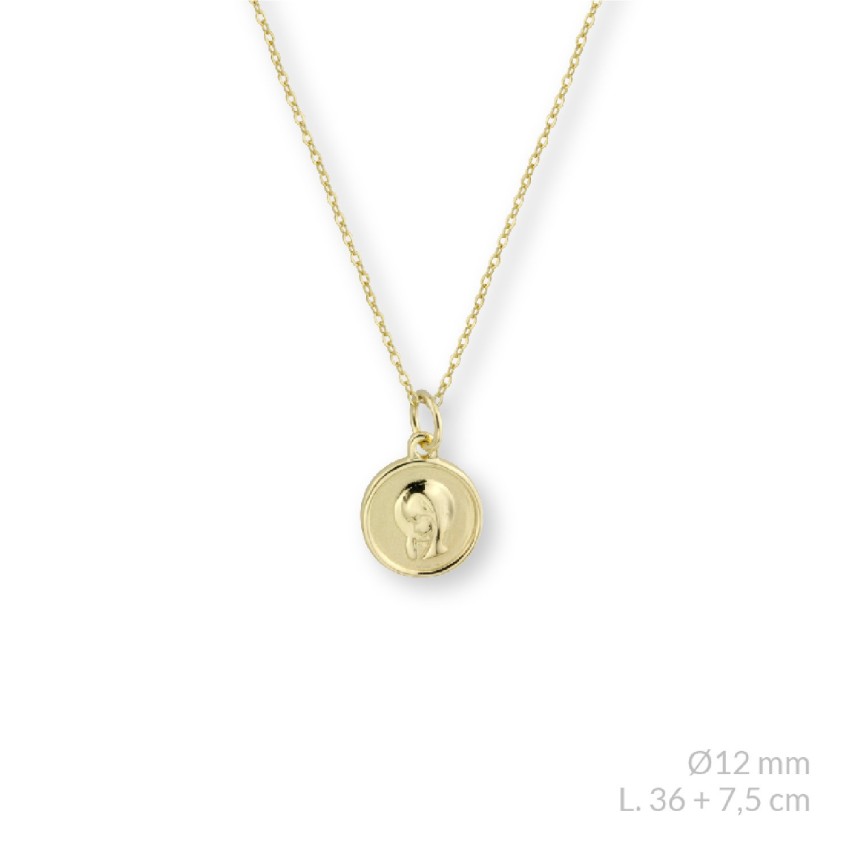 Gargantilla de Plata de Ley