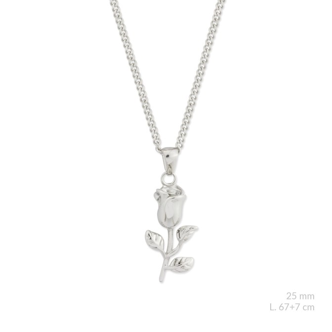 Gargantilla de acero inoxidable