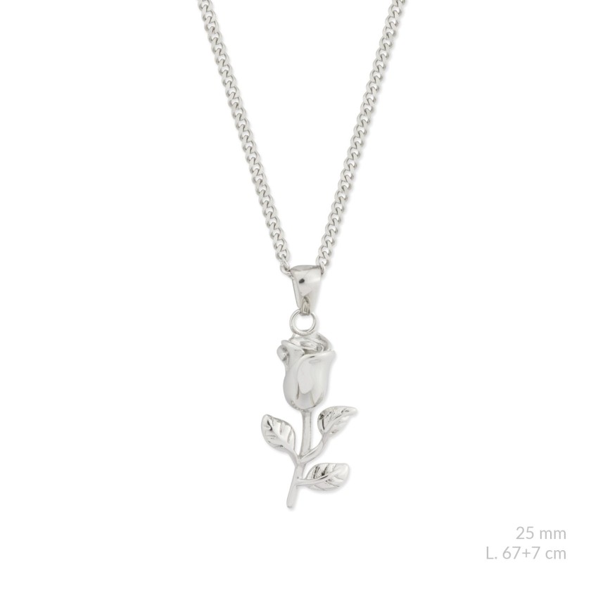 Gargantilla de acero inoxidable