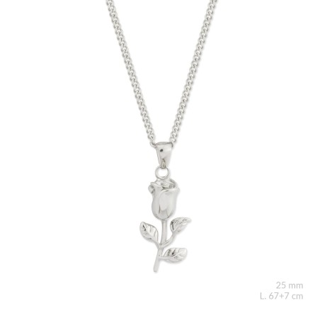 Gargantilla de acero inoxidable