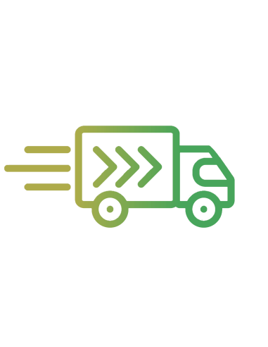 Gargantilla lisa de prueba