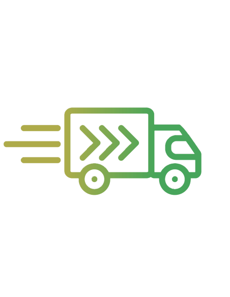 Gargantilla lisa de prueba