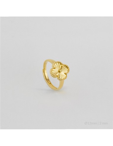 Anillo de Plata de Ley