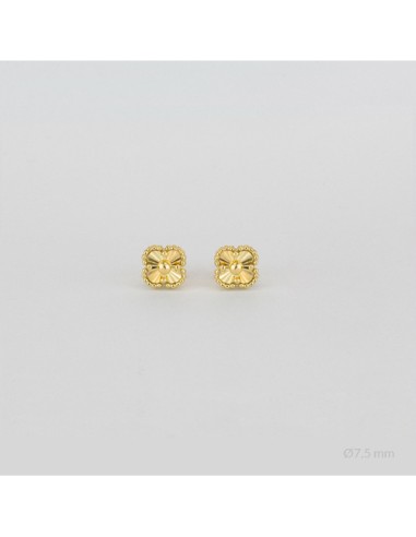 Pendientes de Plata de Ley