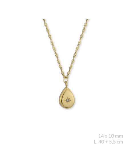 Gargantilla de Acero inoxidable