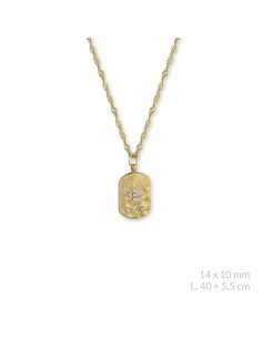 Gargantilla de Acero inoxidable