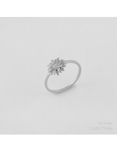 Anillo de Plata de Ley