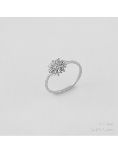 Anillo de Plata de Ley