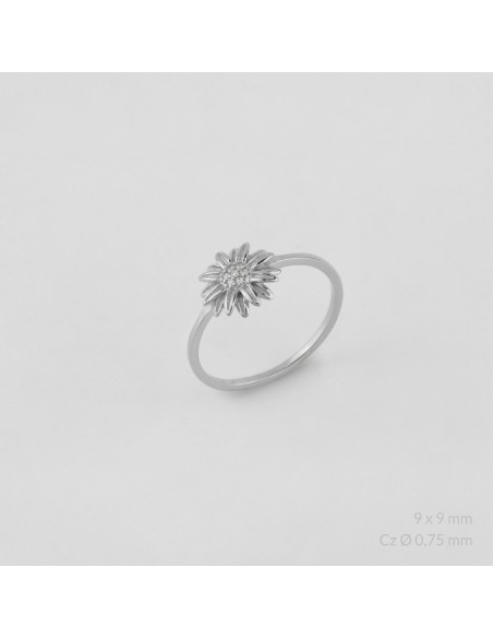 Anillo de Plata de Ley