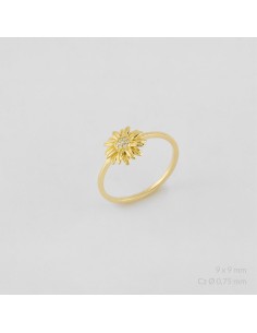 Anillo de Plata de Ley