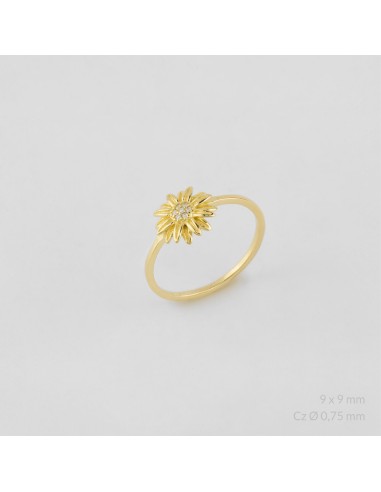 Anillo de Plata de Ley