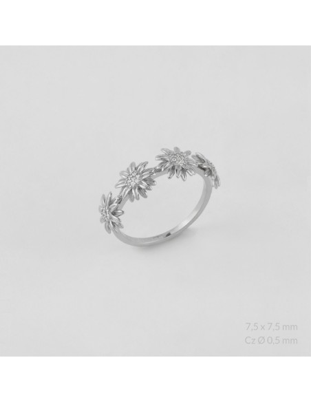 Anillo de Plata de Ley