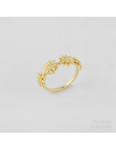 Anillo de Plata de Ley