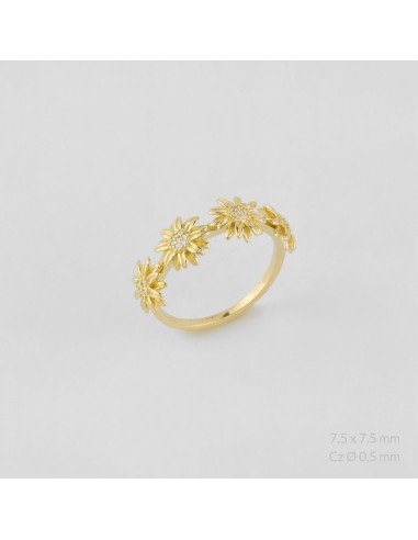 Anillo de Plata de Ley