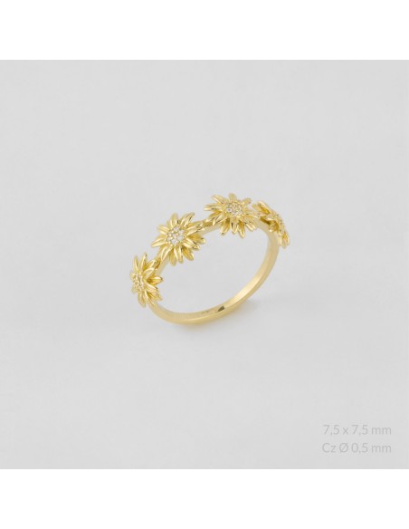 Anillo de Plata de Ley