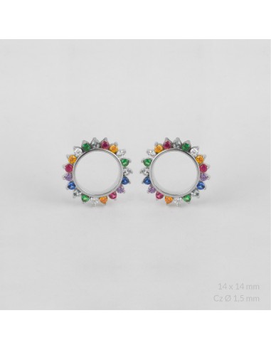 Pendientes de Plata de Ley