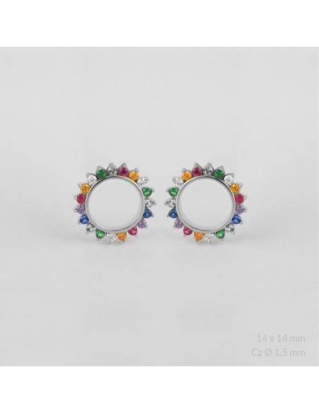 Pendientes de Plata de Ley