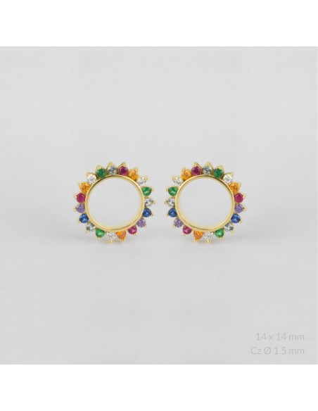 Pendientes de Plata de Ley