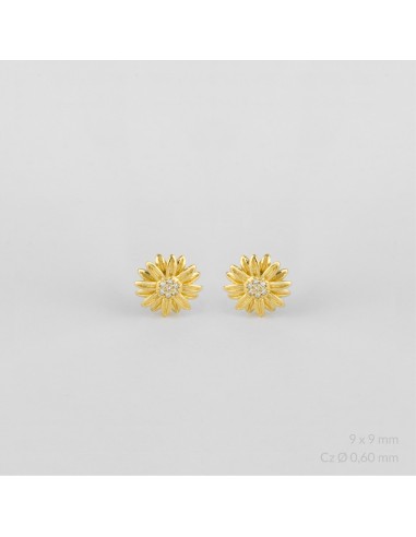 Pendientes de Plata de Ley