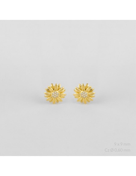 Pendientes de Plata de Ley