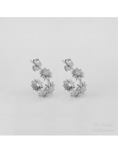 Pendientes de Plata de Ley