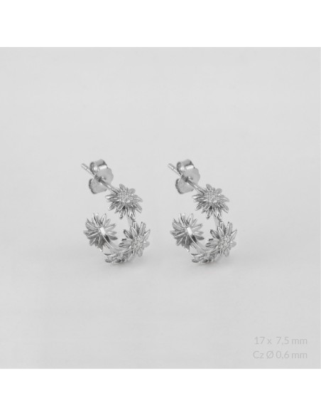 Pendientes de Plata de Ley