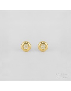 Pendientes de Plata de Ley