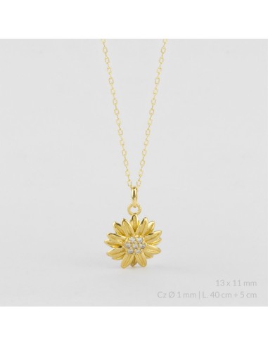 Gargantilla de Plata de Ley