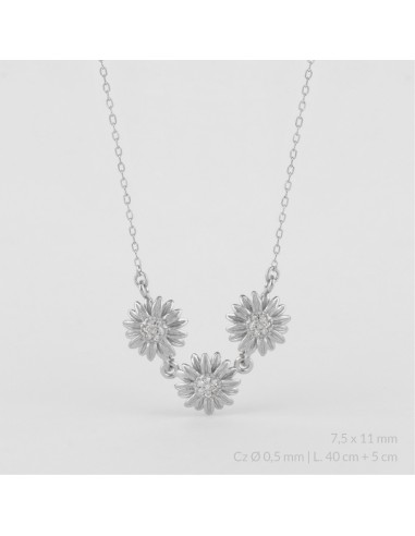 Gargantilla de Plata de Ley